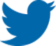 icon-twitter
